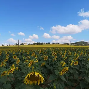  Appartamento incantevole appartamento in borgo di campagna Italia